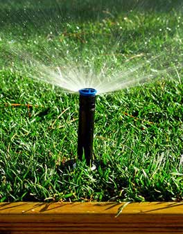 Our Irrigation Repairs